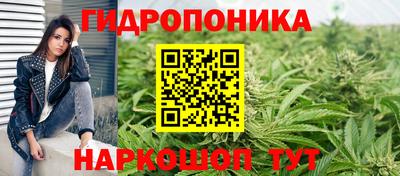 ешки Аргун