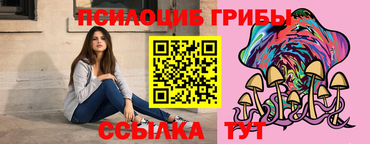 закладка  Вход с VPN  Волгодонск  Галлюциногенные грибы Cubensis 