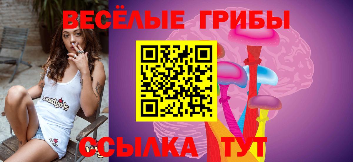 Галлюциногенные грибы мухоморы Волгодонск